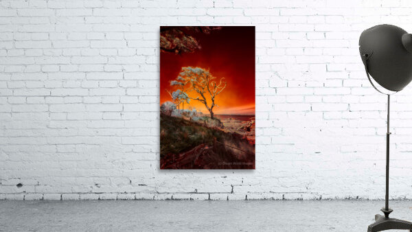 Ruby Bonsai: A Botanical Marvel Unveiled on Driftwood Beach Wall Preview