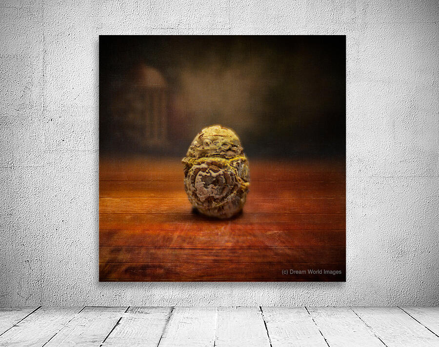 Natures Imprint: Egg-shaped Rock with Weathered Elegance Wall Preview