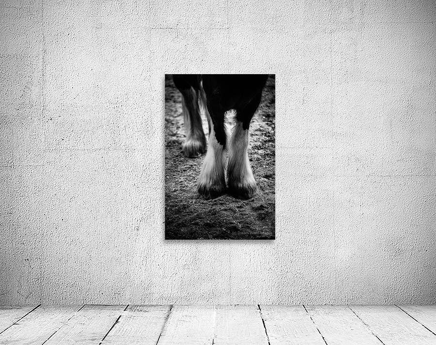 Hoofed Elegance: Exploring Intricate Details Wall Preview