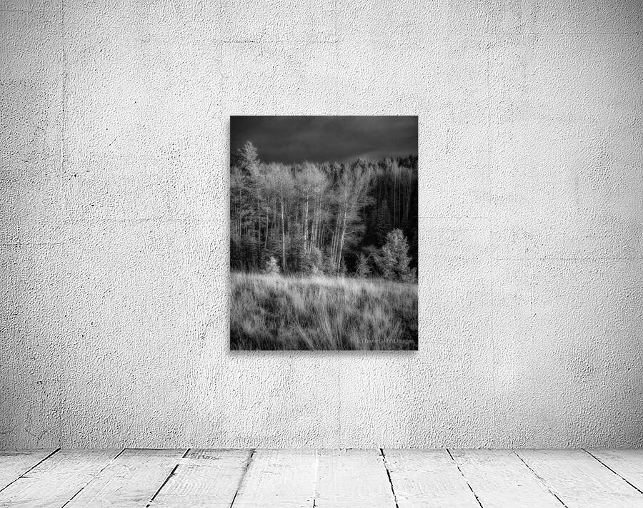 Mueller Aspen Series: Twilight Whispers Wall Preview