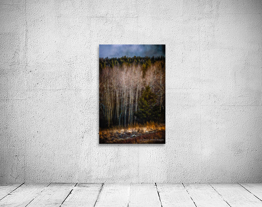 Mueller Aspen Series: Whispers of Fall Wall Preview