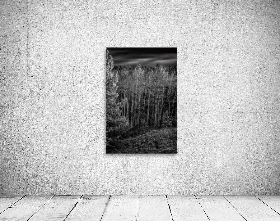 Mueller Aspen Series: Aspen Symphony Wall Preview