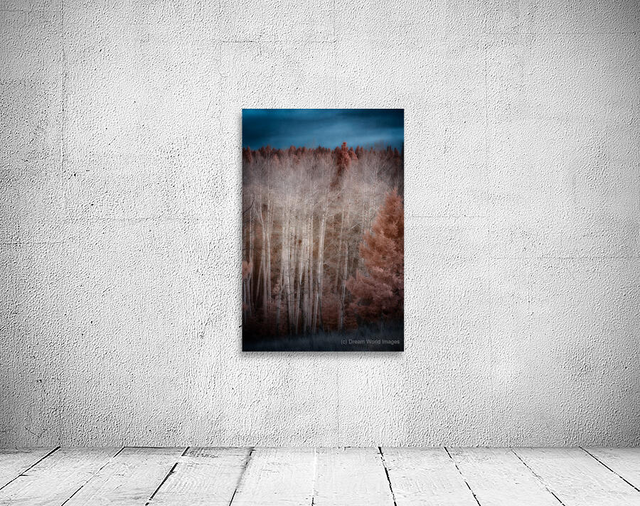 Mueller Aspen Series: Enchanted Woods Wall Preview