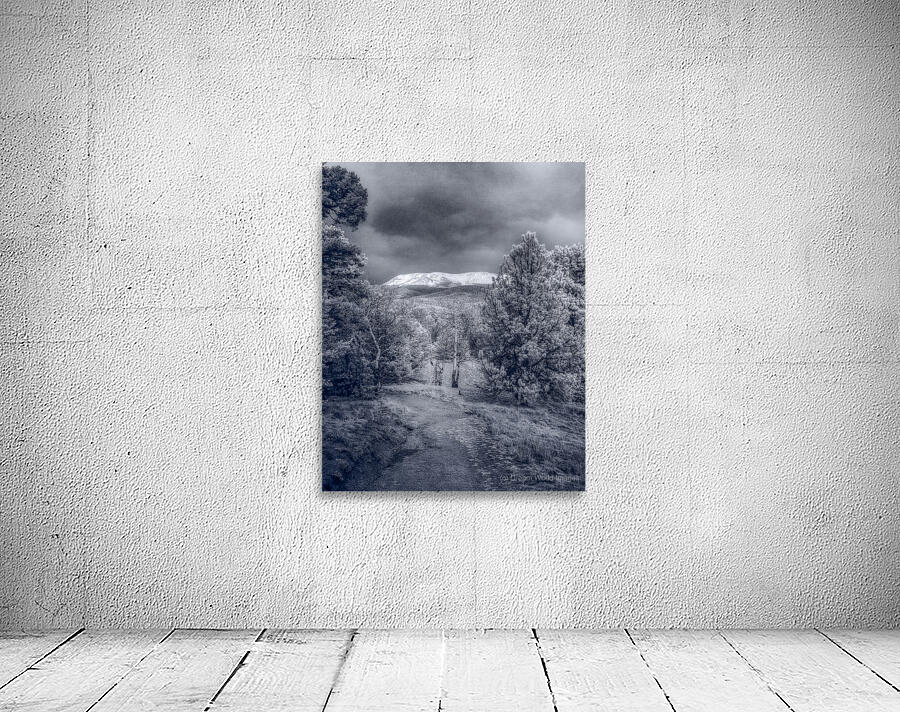 Mueller Aspen Series: Mountain Trail Tranquility Wall Preview