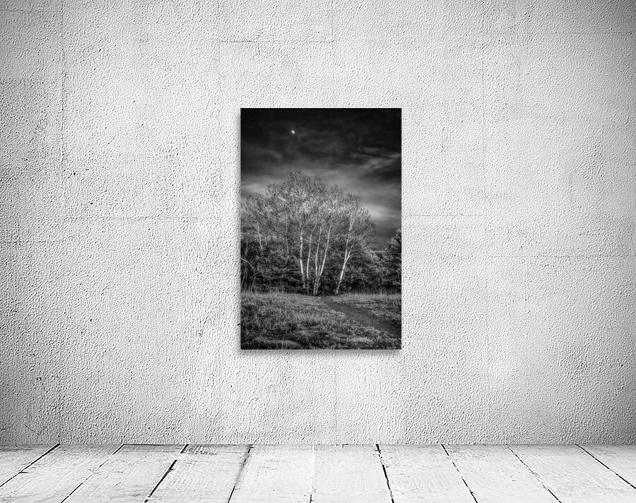 Mueller Aspen Series: Aspen Moon Wall Preview