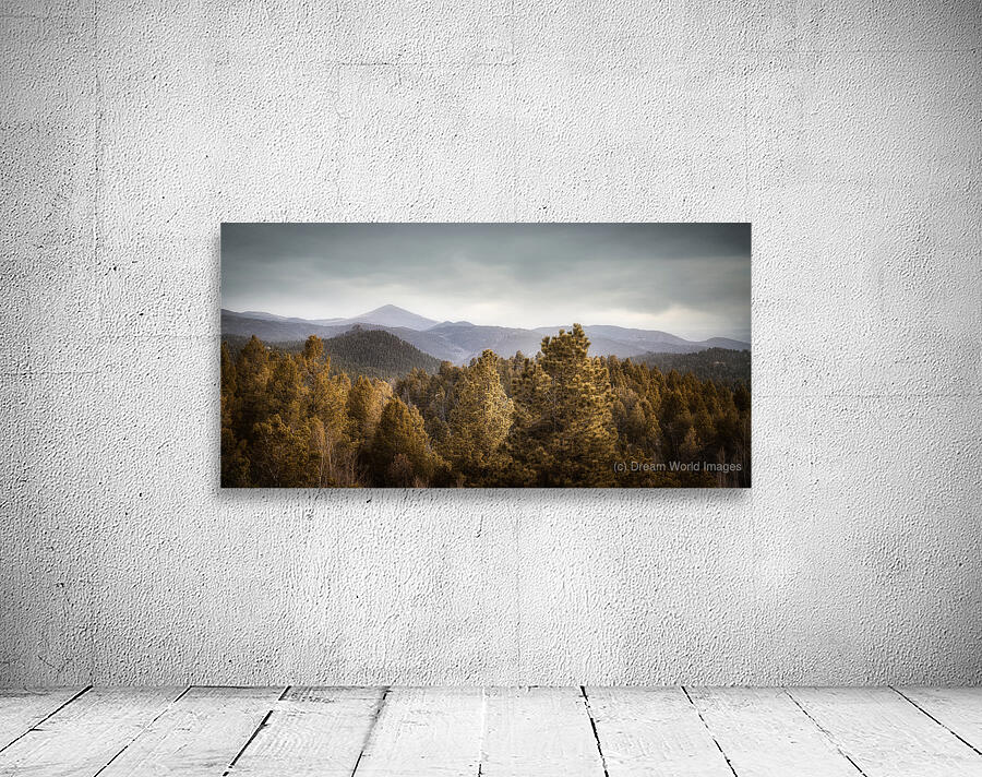 Mueller Aspen Series: Mountain View Wall Preview