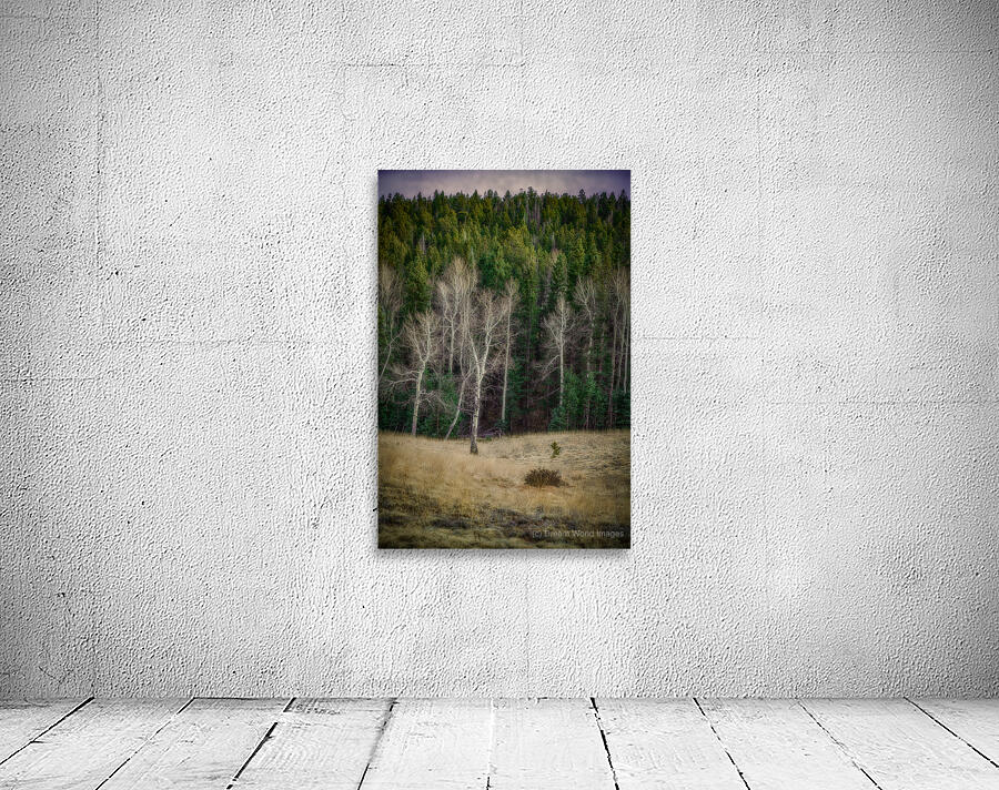 Mueller Aspen Series: Twilight Whispers Wall Preview