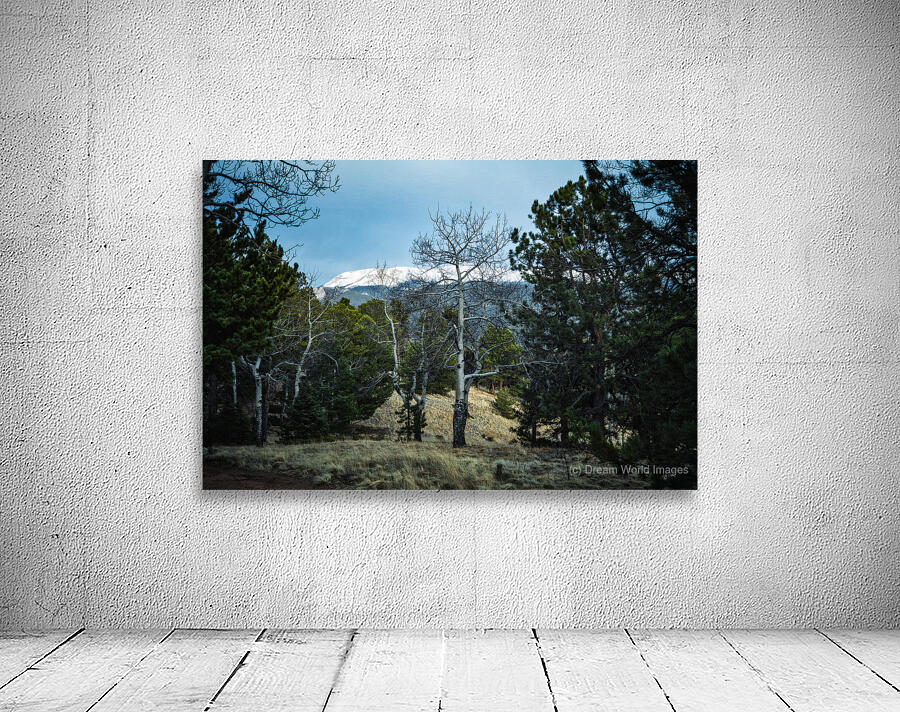 Mueller Aspen Series: Aspen Mountain Wall Preview