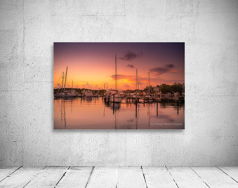 Tidal Treasures: A Visual Symphony of Beauforts Beauty Wall Preview