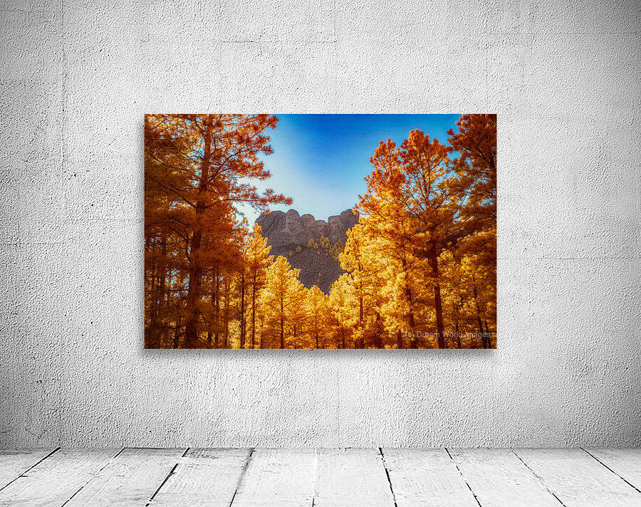 Mount Rushmore Yellow Glow: Infrared Beauty Amidst the Trees Wall Preview
