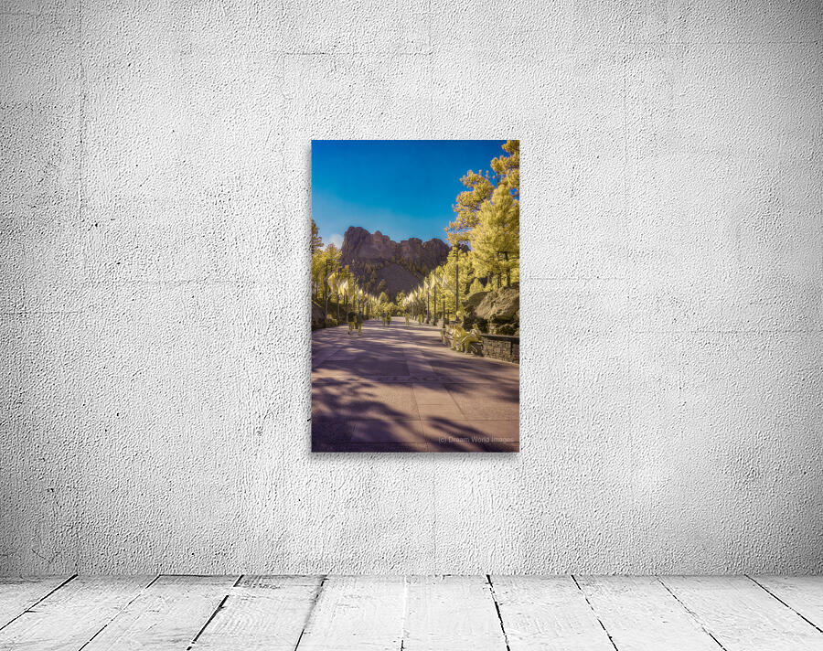 State Flags Row: Infrared Gaze at Mount Rushmore Wall Preview