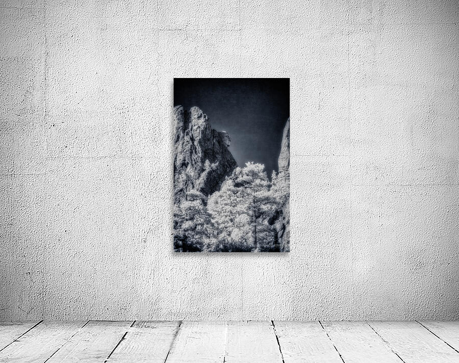 Washingtons Profile in Time Wall Preview