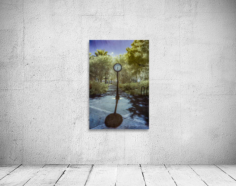 Springtime Serenity: Exploring Saint Marys Riverside Park Wall Preview