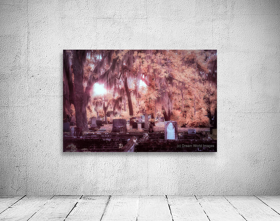 Springtime Serenity: A Moody Sunset at Oak Grove Cemetery Wall Preview