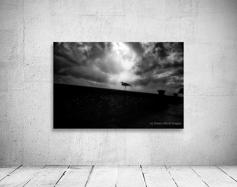 Rainy Day Stroll: Capturing Serenity with a Silhouetted Bird in Saint Marys Georgia Wall Preview