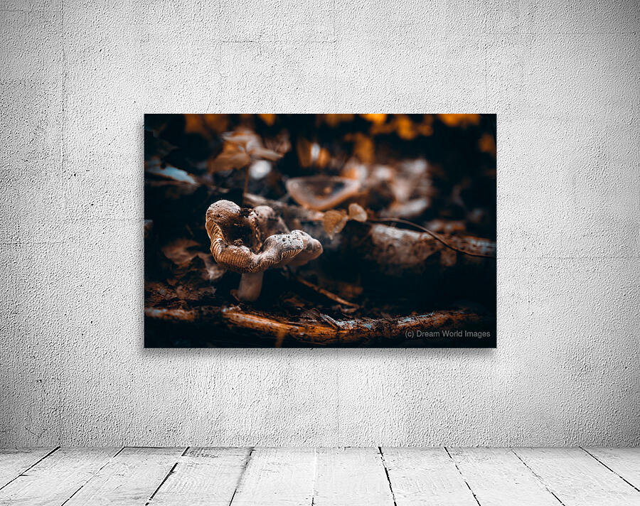 Mystical Fungi: Crabby Shroom Wall Preview