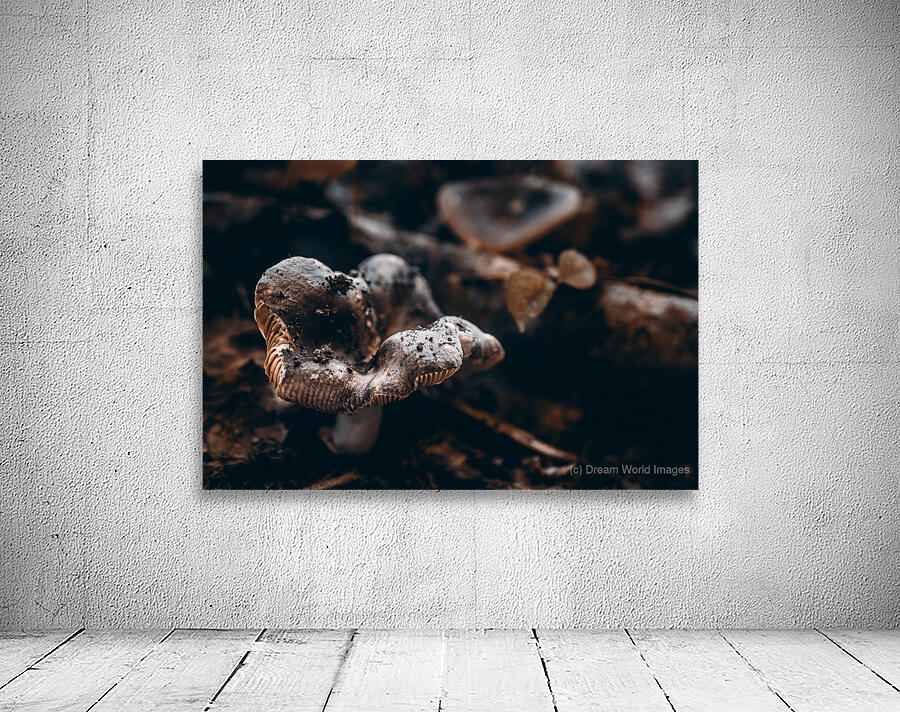 Mystical Fungi: Ring of Mystery Saturnine Mushroom Wall Preview