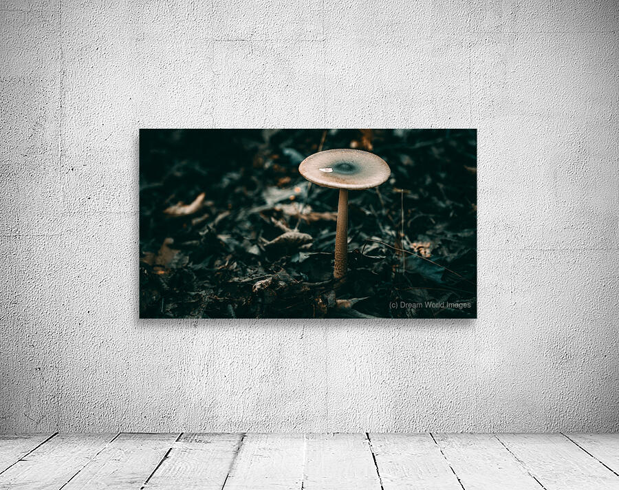 Mystical Fungi: Standing Tall The Majestic Tallish Mushroom Wall Preview