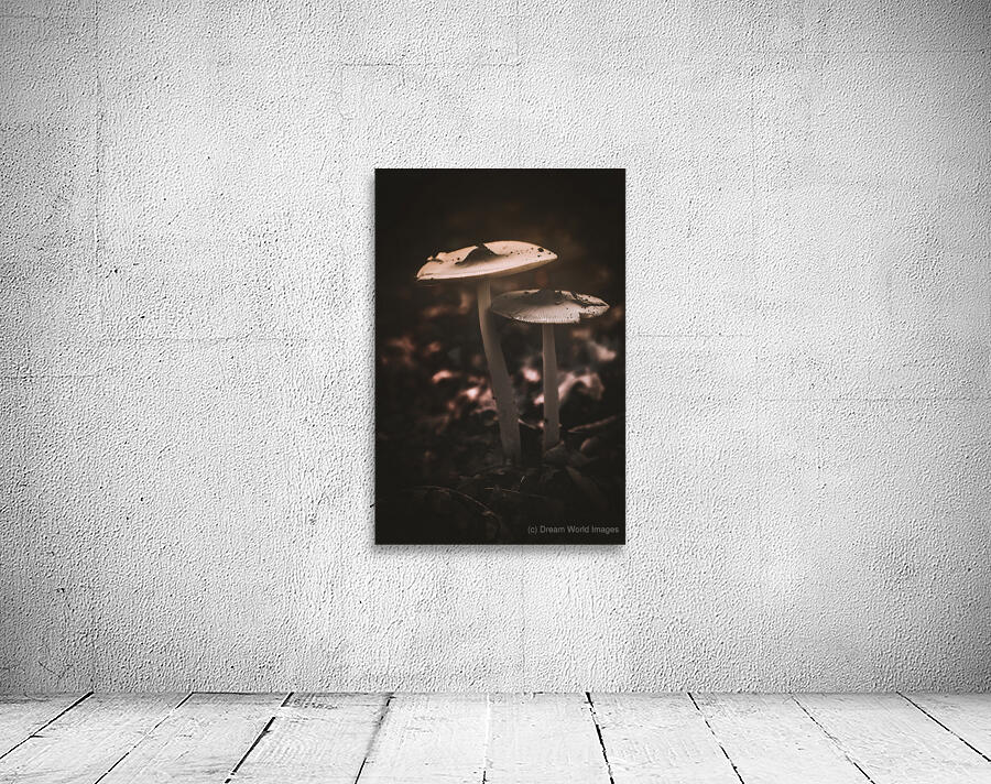 Mystical Fungi: Big Brother Shroom in the Woodland Realm Wall Preview