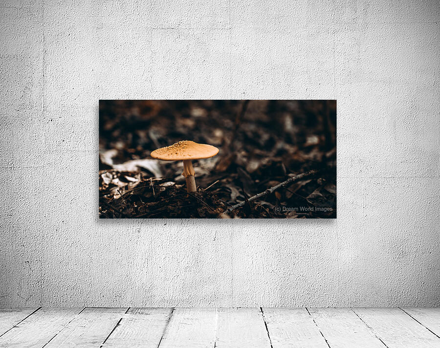 Mystical Fungi: Gloomy Shroom Wall Preview