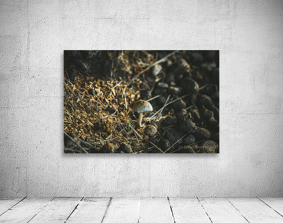 Montana Ranch Shroom: Sunlit Stallion Shroom Wall Preview