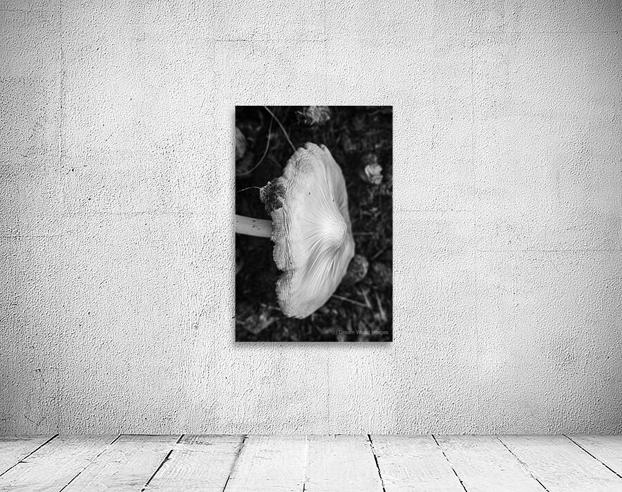 Montana Ranch Shroom: Valley Vista Toadstool Wall Preview