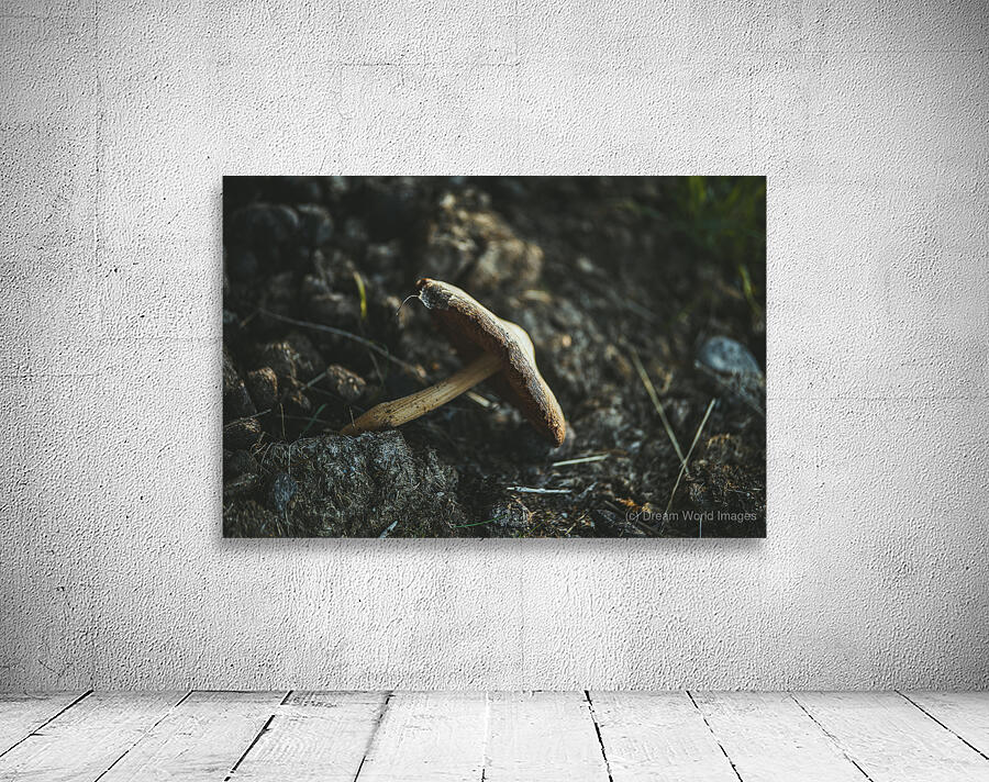 Montana Ranch Shroom: Rustic Ranch Fungus Wall Preview