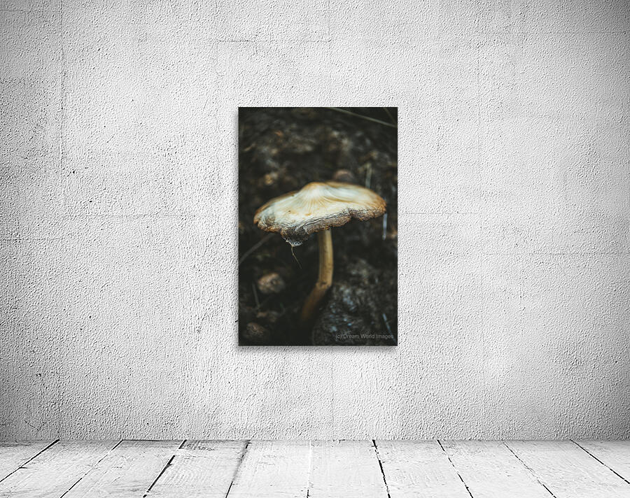 Montana Ranch Shroom: Saddlewood Mushroom Wall Preview