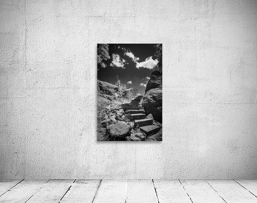 Stairway to Tranquility: Sylvan Lake Wall Preview