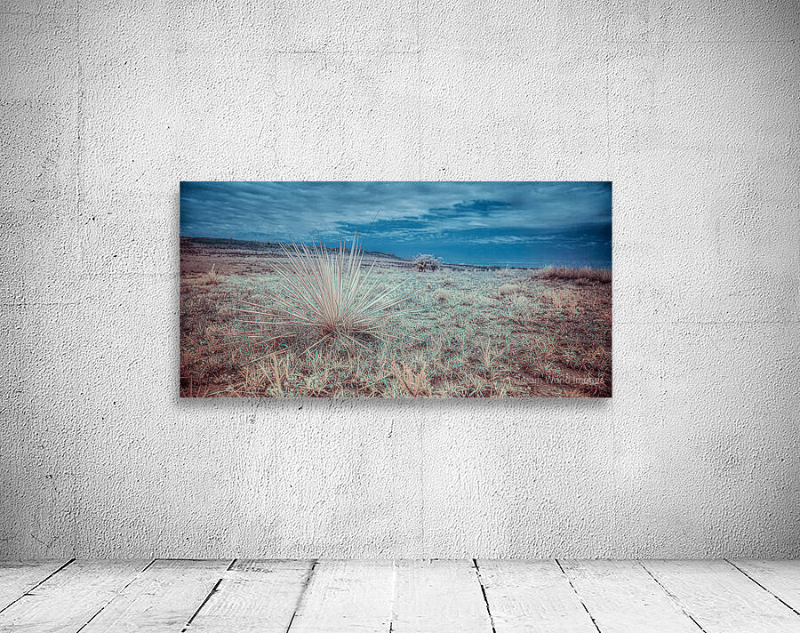 Lone Star Grass in Shamrock Wall Preview