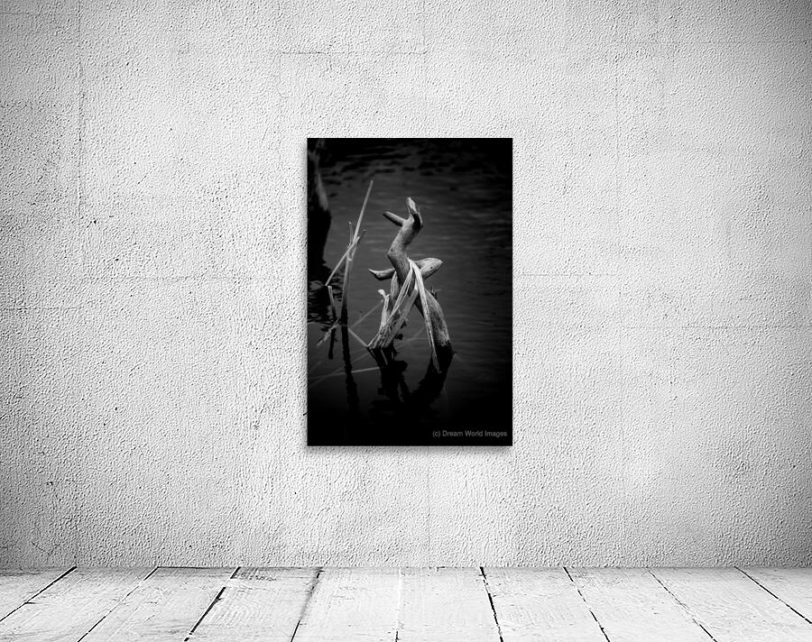 Serene Sylvan Lake: A Tale of Resilience and Reflection Wall Preview