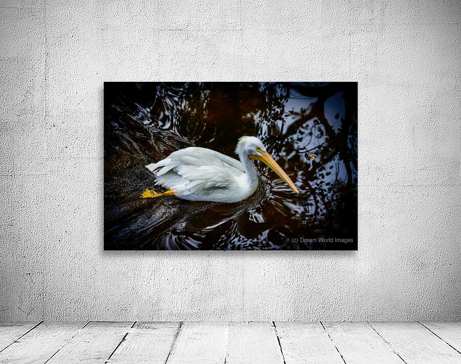 Florida Serenity: A Pelican Making Soft Waves Wall Preview