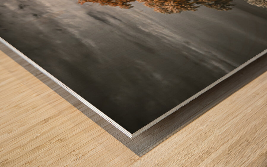 Guardian of the Bayou Country Wood print