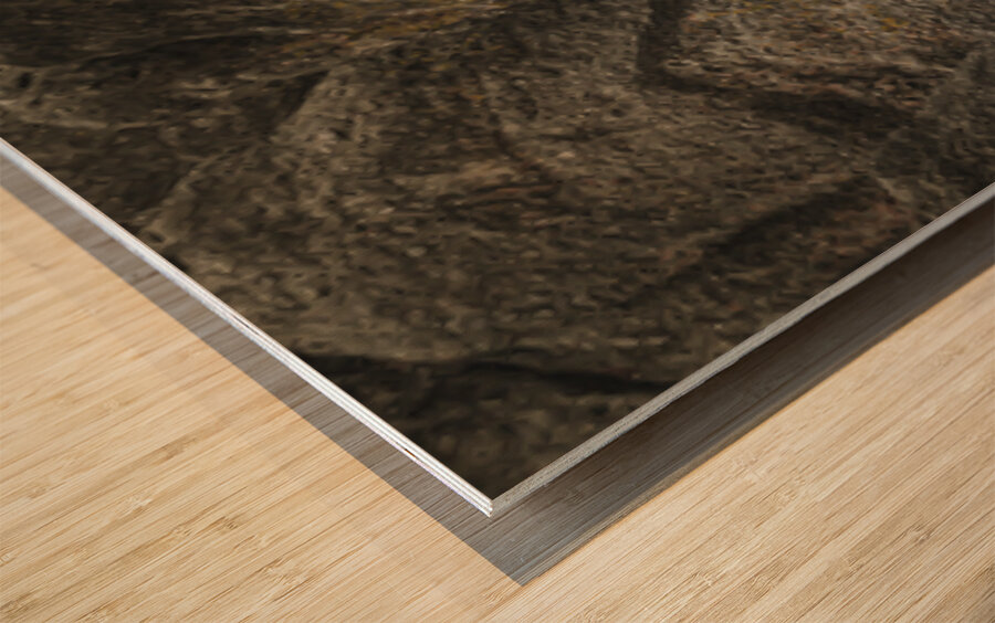 Spirit Tree of the Sacred Hills Wood print