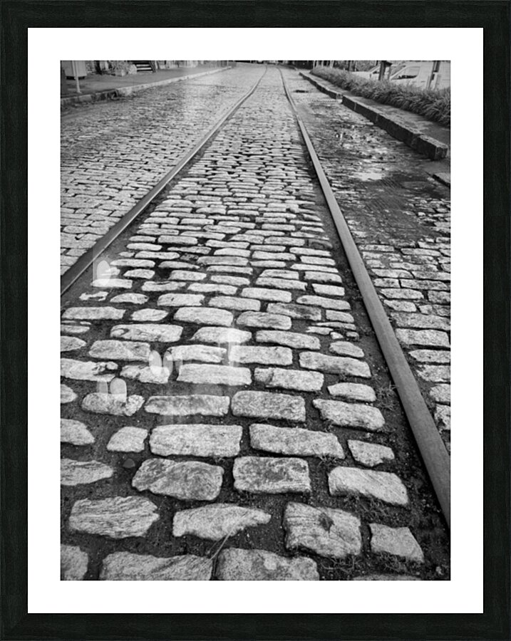 Echoes of the Rails BW by rongraywolflevinephotoart