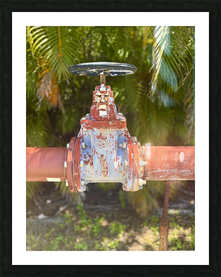 The Old Iron Guardian Among the Palms by rongraywolflevinephotoart