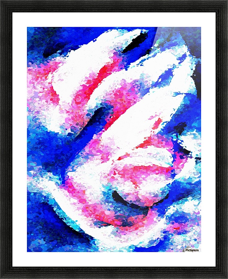 Caborse Picture Frame print