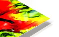 rigo HD Metal print