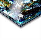 Forest walk  Acrylic print