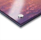 A Sight to Behold Acrylic print