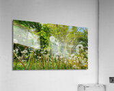 So Many Wishes Acrylic Print