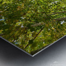 Forest Bathing Metal print