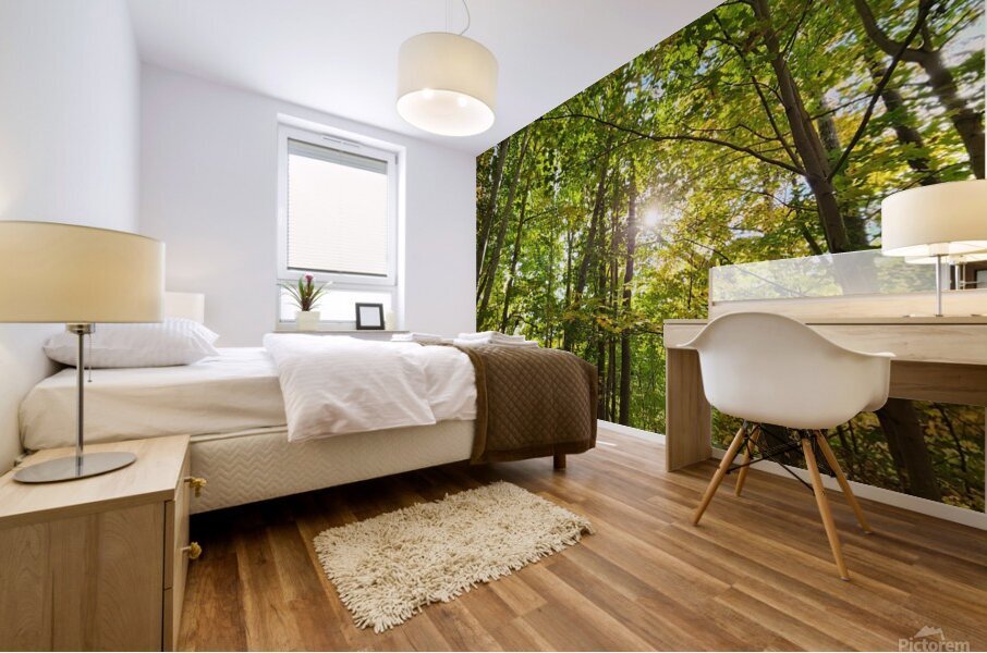 Forest Bathing Mural print