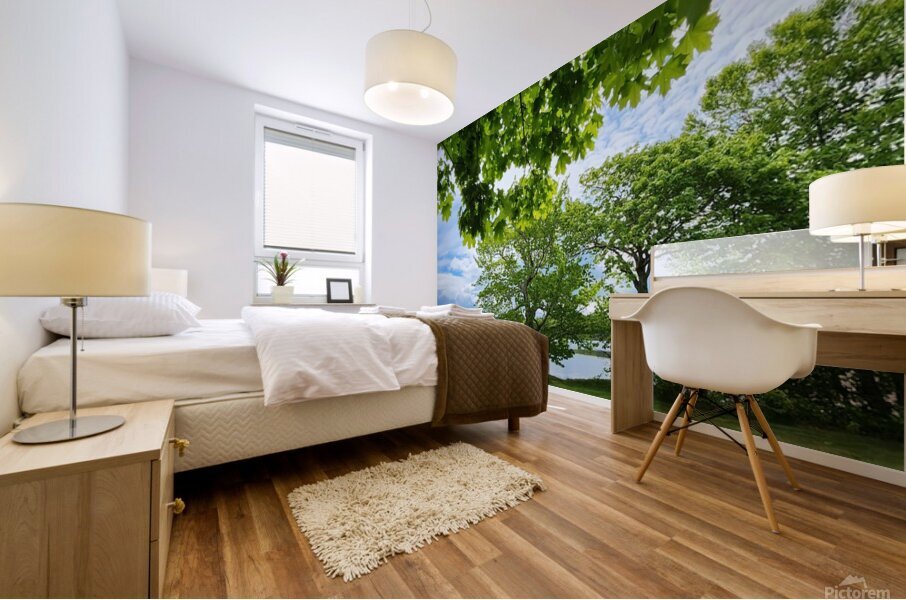 Maple Canopy Mural print