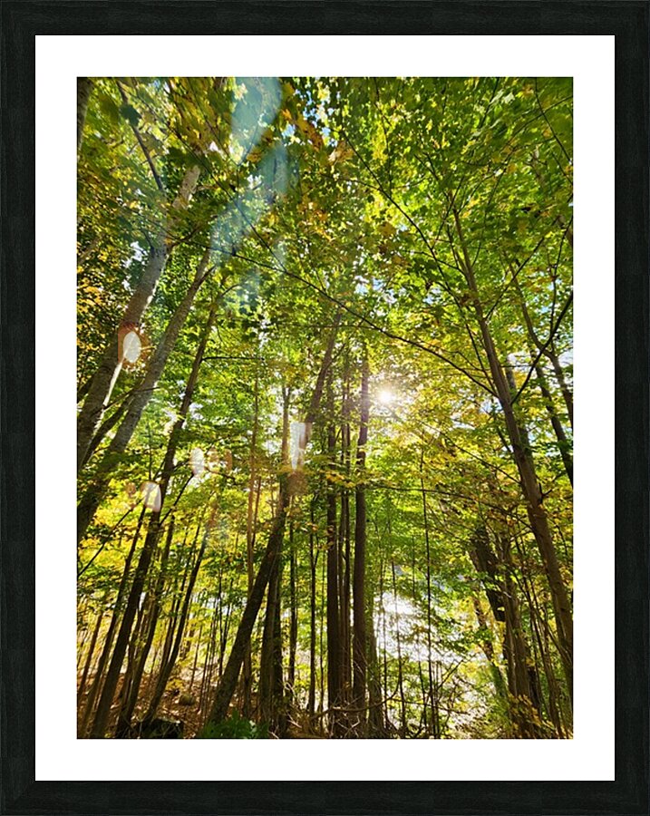 Forest Bathing Picture Frame print
