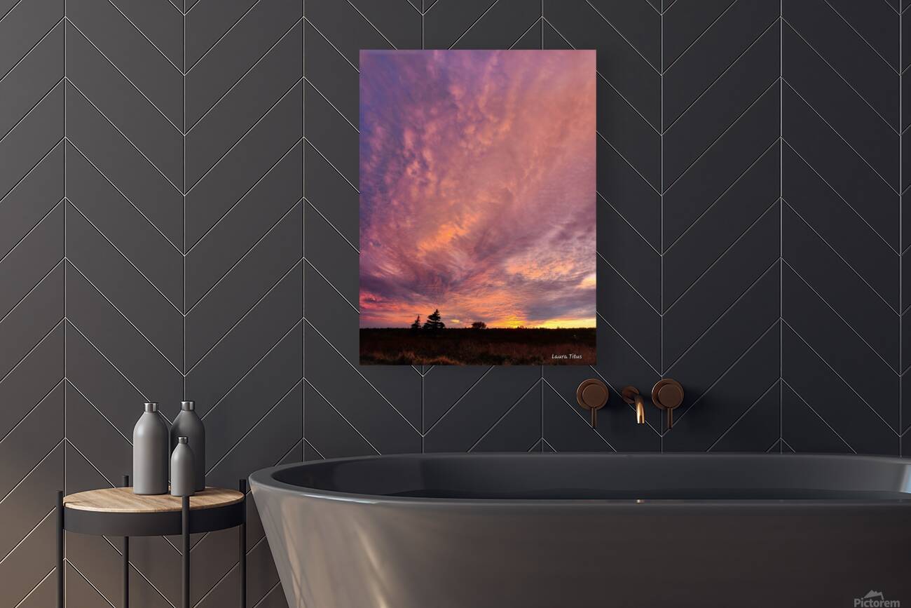 A Sight to Behold Reproduction