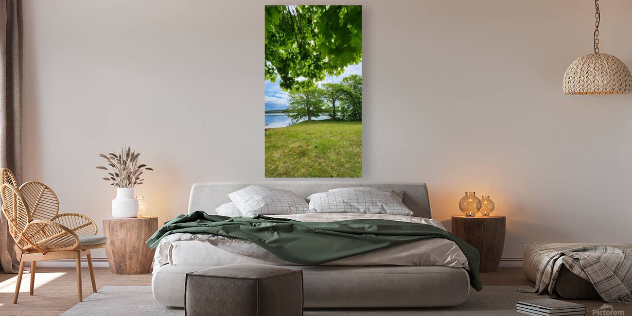 Maple Canopy Reproduction