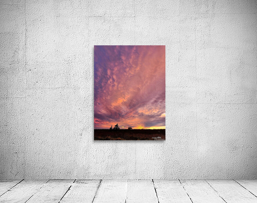 A Sight to Behold Wall Preview