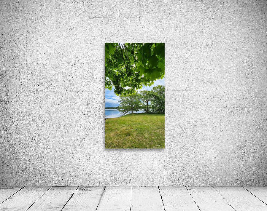 Maple Canopy Wall Preview