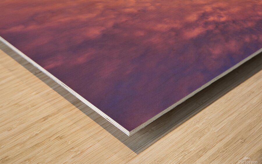 A Sight to Behold Wood print